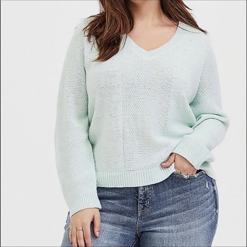 Torrid Sweater